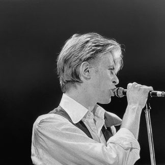 The Mark Hayward Collection