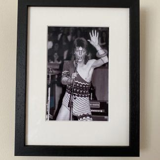 BOWIE IN CONCERT 1973